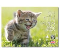 2026 A4 Calendar Cute Kittens. Cat Calendar 2026 cats. One Month to View. A3 when open. Wall Calendar by Absolutely Yours.