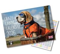 2026 A4 Dogs calendar. Crazy Canines calendar. One Month to View. A3 when open. Funny Dogs Wall Calendar by Absolutely Yours.