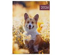 2026 A5 Week To View Puppies & Kittens Diary Full Year Organiser Hardback Diaries Planner With Appointment Times (Dog 2026 Diary)