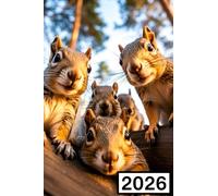 2026: A6 Terminplaner & Buchkalender , Kompakter Jahresplaner mit 1 Woche auf 2 Seiten | Das kleine Kalenderbuch für große Pläne und einen klaren Kopf