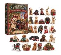 2026 Animal Advent Calendar, 24 Acrylic Ornaments, Festive Tree Decor | Clear Acrylic Figures, Includes Hanging Strings for Trees, Arrives in 26 by 18Cm Gift Box A Style