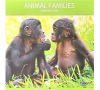 2026 Animal Families Square Wall Calendar Cute Animals Wild Pet Dogs Bears Horses Elephants Planner Organiser Home Kitchen Office Christmas Birthday New Year