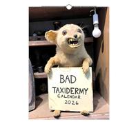 2026 Bad Taxidermy Wall Calendar, Weird, Gross & Hilariously Awful Taxidermy, 12 Month Planner with 12 Images, Funny Gag Gift for Adults, Home & Office Decor, White Elephant (1 pcs)