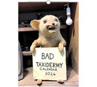 2026 Bad Taxidermy Wall Calendar - Weird, Gross & Hilariously Awful Taxidermy, 12 Month Unique Bad Taxidermy Calendar, White Elephant Prank Gifts
