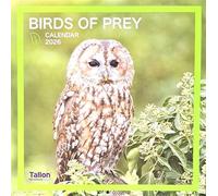 2026 Birds of Prey Square Wall Calendar Cute Wild Owl Eagle Kestrel Kite Osprey Falcon Planner Organiser Home Kitchen Office Christmas Birthday New Year