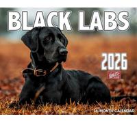 2026 Black Labrador Dog Wall Calendar 16-Month X-Large Size 14x22, Lab Calendar by The KING Company-Monster Calendars