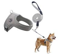 2026 Breathable Pull Harness with Leash - Soft Cationic Mesh Vest for Small Sizes, Easy On/Off, Adjustable Fit, All Year Round (Grey, XS)