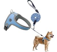 2026 Breathable Pull Harness with Leash - Soft Cationic Mesh Vest for Small Sizes, Easy On/Off, Adjustable Fit, All Year Round (Blue, XS)