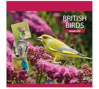 2026 British Wildlife & Birds Month To View Calendar Wall Hanging Nature Themed Family Planner Large Square Organiser (British Birds 2026)