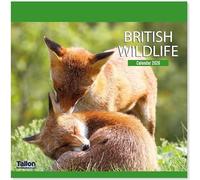 2026 British Wildlife & Birds Month To View Calendar Wall Hanging Nature Themed Family Planner Large Square Organiser (British Wildlife 2026)