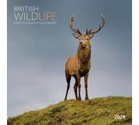 2026 British Wildlife Photography Wall Calendar