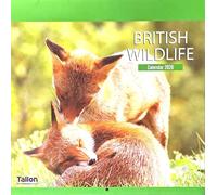 2026 British Wildlife Square Wall Calendar Cute Wild Animals Garden Owl Fox Deer Planner Organiser Home Kitchen Office Christmas Birthday New Year