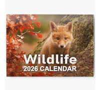 2026 British Wildlife Wall Calendar - UK Nature Photography, Foxes, Deer, Owls - Month to View Planner, A3 When Open - Premium 170gsm Silk Paper