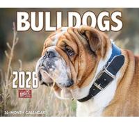 2026 Bulldogs Wall Calendar 16-Month X-Large Size 14x22, Dog Calendar by The KING Company-Monster Calendars