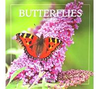 2026 Butterflies Square Wall Calendar Cute Butterfly Insects Flowers Moths Planner Organiser Home Kitchen Office Christmas Birthday New Year
