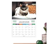2026 Calendar, Art Calendar With Monthly Scenes Illustrations, Cute Gag Planner Paper for Kids Teachers Apartment Bedroom House Classroom School College Family Dorm Kitchen