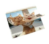 2026 Calendar Cats - 12-Month Schedule Planner - Hangable Calendar Animal - for School Living Room Bedroom Study Classroom Office Students Teachers Consultants Freelancers Dormitory