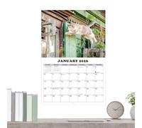 2026 Calendar Cats | 13-Month Planning Tool | Kitten Wall Calendar | for Students Teachers Consultants Freelancers Home School Bedroom Study Classroom Office Workshop Studio Dormitory