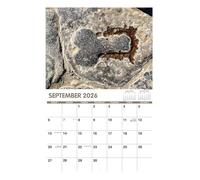 2026 Calendar Creative Humorous Planner Scheduling Time Management