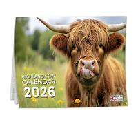 2026 Calendar, Highland Cow Wall Calendar UK, A3 Month-to-View (Jan 2026 - Dec 2026), Eco-Friendly, A3 Size When Open, Made in the UK