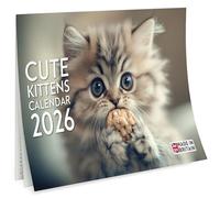 2026 Calendar of Cute Kittens - Ideal for Cat Lovers - Secret Santa Gifts for Women - Stocking Filler For Girls - Family Calendar 2026 A3 Size When Open - Birthday Gifts for Her