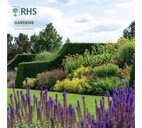 2026 CALENDAR RHS MONTH TO VIEW SQUARE WALL CALENDAR OFFICIAL PRODUCT