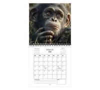 2026 Cartoon Monkey Calendar - 12 MEI's Funny Animal Themed Planner | Double-Sided View Month/Week with Daily Inspirational Quotes | Thick Paper Wall Almanac