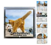 2026 Cat Ball Calendar, Humor Cats Wall Calendars, 2026 12 Monthly Wall For Scheduling And Desk Decor, Cats Gag Planner Organizer Tool For Women Man Cat Lover