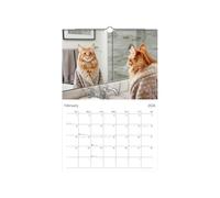 2026 Cat Calendar | 12 Months Calendar - Funny Wall Planner for Agenda Scheduling Organization Decoration Planning Study Room School Home