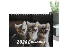 2026 Cat Calendar, 28.5 X 21.5cm Funny Cat Wall Calendar, 12 Monthly Planner For Room Decor Home Desk Planning Kitchen Classroom Bedroom
