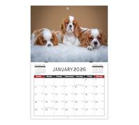 2026 Cat Calendar - Artistic and Cute - Dog and Cat Wall Calendar - For Desk Organization, Home, Table, Study, Family, Workplace, School and