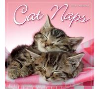 2026 Cat Naps Mini Calendar
