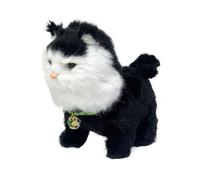 2026" Cat : Soft & Lovable! Keep Your Entertained With This That’s All The In ! (A, One Size)