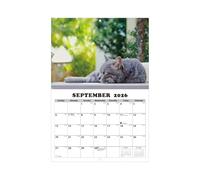 2026 Cat Wall Calendar,13-Month Planning Tool - Hangable Monthly Calendar,for Living Room Bedroom Study Classroom Office Students Teachers Consultants Freelancers Workshop Studio Dormitory