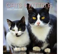 2026 Cats & Kittens Wall Calendar Cute Square Tabby Ginger Black White Planner Organiser
