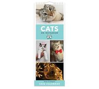 2026 Cats on Instagram Slim Wall Calendar