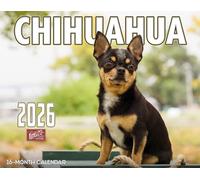 2026 Chihuahuas Dog Wall Calendar 16-Month X-Large Size 14x22, Dog Calendar by The KING Company-Monster Calendars