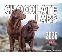 2026 Chocolate Labrador Dog Wall Calendar 16-Month X-Large Size 14x22, Chocolate Lab Dog Calendar by The KING Company-Monster Calendars
