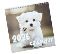 2026 Creative Illustration Calendar Thick Art Paper Print Wall Hanging Design Simple Monthly Wall Decor Date Marking Planner