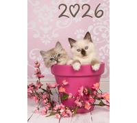2026 Cute Cat Funny Planner: 6" x 9" Inches Weekly Daily
