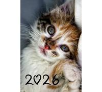 2026 Cute Cat Funny Planner: 6" x 9" Inches Weekly Daily