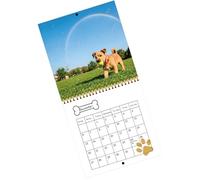 2026 Dog Theme Wall Mounted Monthly Calendar Twin Coil Binding From Jan to Dec for Classroom Home Decoration Dog Illustrations Calendar