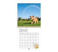 2026 Dog Theme Wall Mounted Monthly Calendar Twin Coil Binding from Jan to Dec for Classroom Home Decoration English Date Dog Calendar