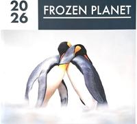 2026 Frozen Planet Square Wall Calendar Wildlife Nature Winter Arctic Antarctic Bear Fox Wild Animals Home Kitchen Christmas Birthday New Year Gift