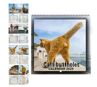 2026 Funny Cat Ball Calendar, Cute Cats theme looks back humor, Funny Cat Ball Calendar 12 Month Family Calenda with Blank Room for Notes Wall Hanging Balls Calendars for Gag cats lovers