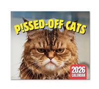 2026 Funny Pissed Off Cats Calendar Kittens Photo Cute Creative Desktop Monthly Planner for Office Worker Home Art Gag Humor Gift