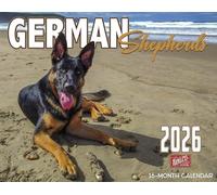 2026 German Shepherds Wall Calendar 16-Month X-Large Size 14x22, Dog Calendar by The KING Company-Monster Calendars