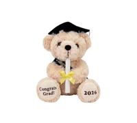2026 Graduation Bear with Gift Box, Graduation Bear with Diploma,Plush Graduation Stuffed Animal Gifts for Kindergarten, High School & College Class of 2026(C)