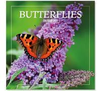 2026 Hanging Wall Calendar Bees & Butterflies Beautiful Family Planner Large Month To View Square Organiser (Butterflies)
