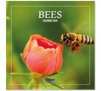 2026 Hanging Wall Calendar Bees & Butterflies Beautiful Family Planner Large Month To View Square Organiser (Bees)